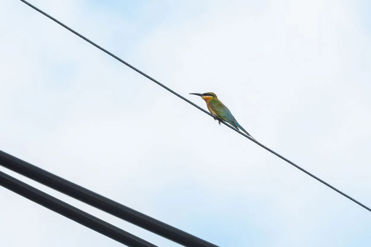 DSC_2763.JPG