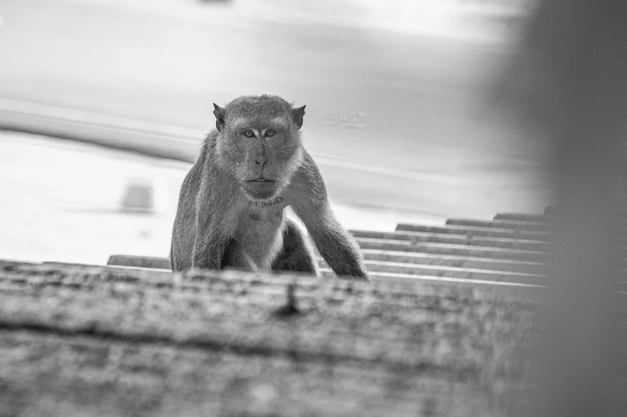 DSC_3987.JPG