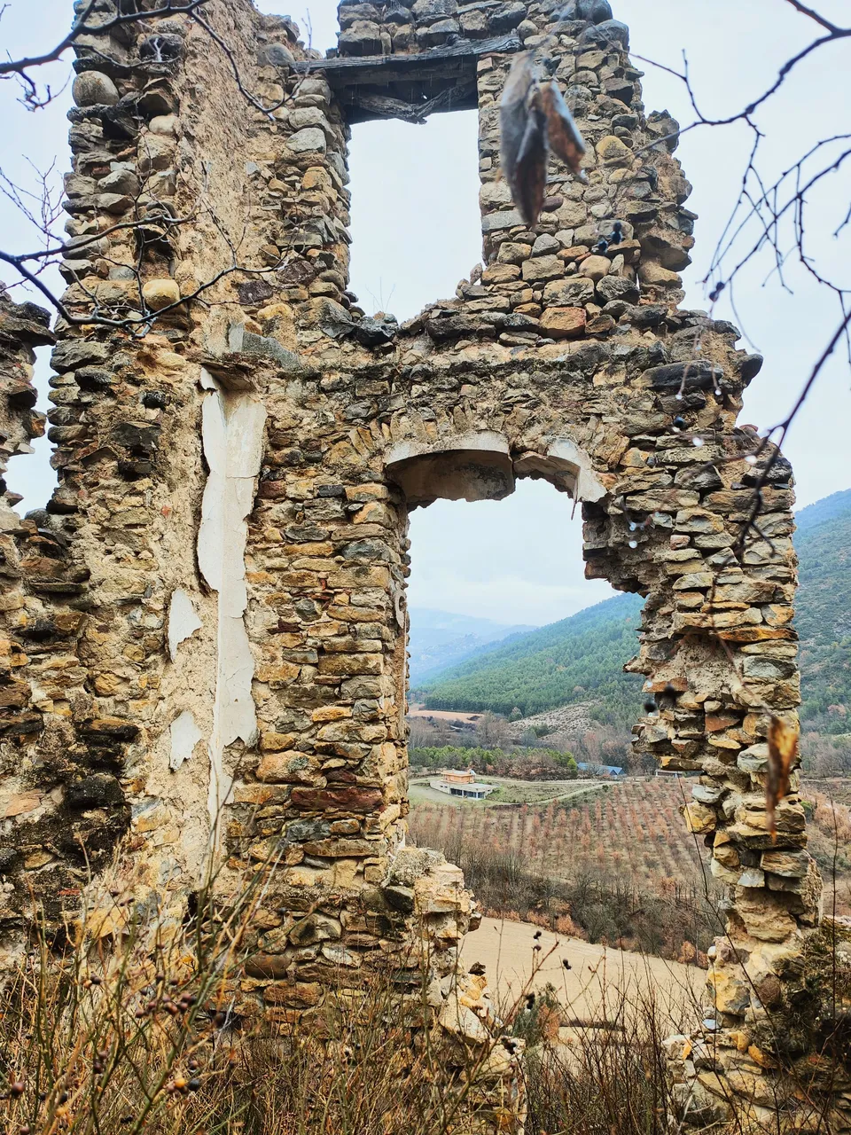 IMG20240216154324-01.jpeg