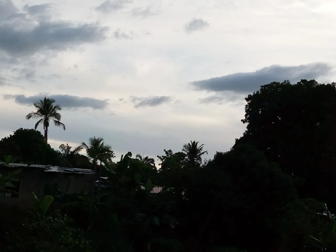 IMG_20210523_181301_605.jpg