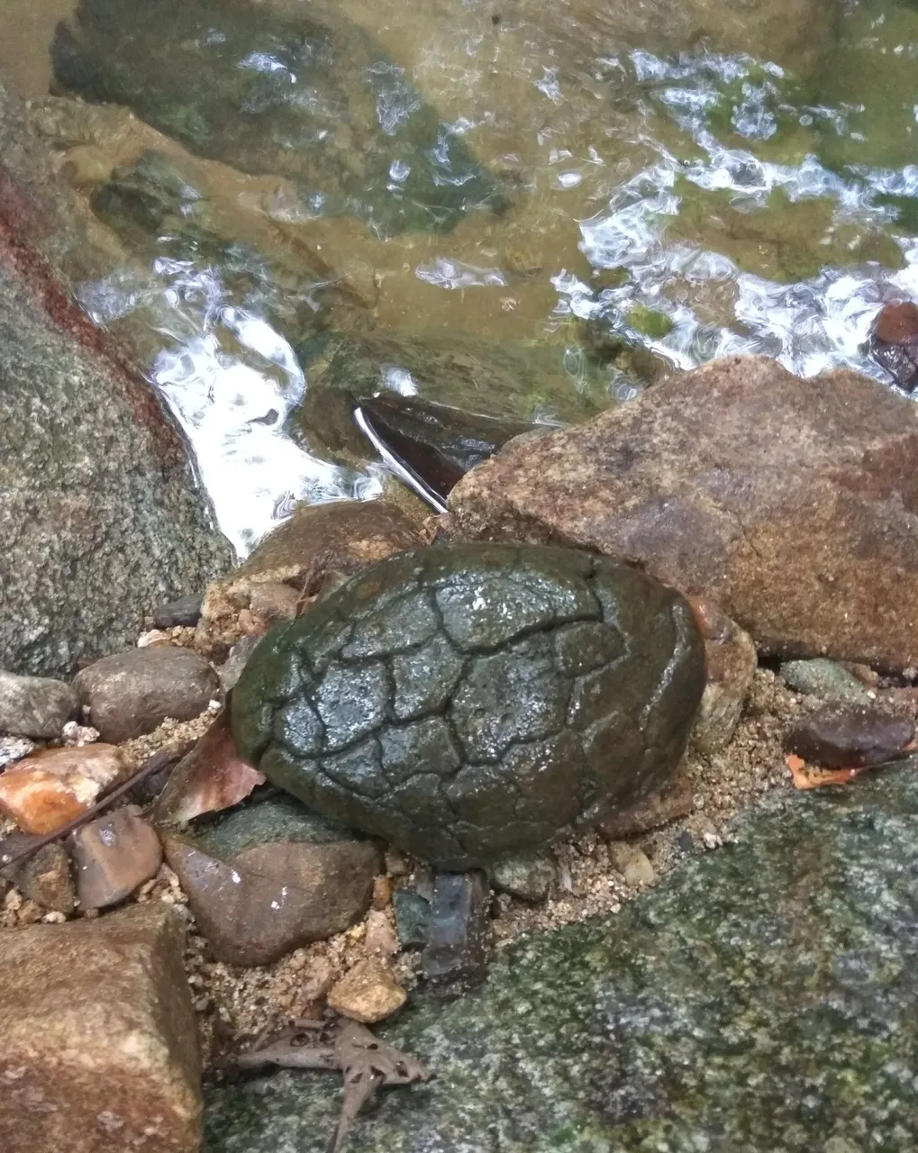 c1_20221021_13085282.jpeg