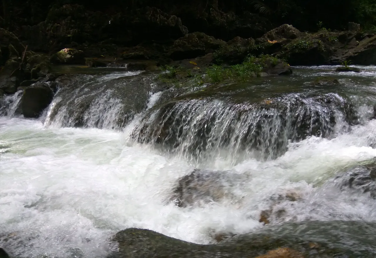 c1_20221021_13084282.jpeg