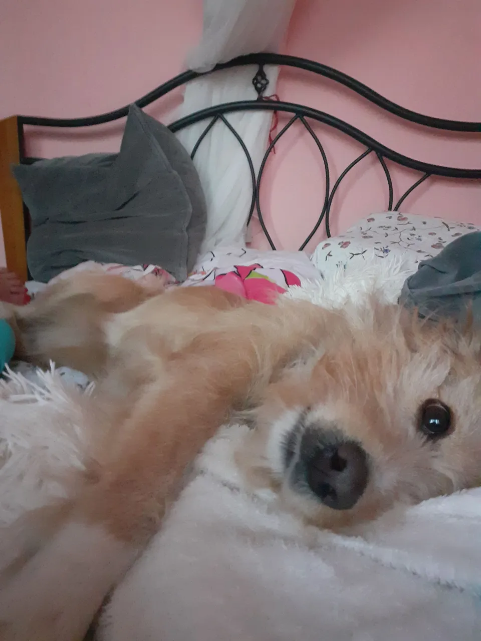 20201102_170219.jpg