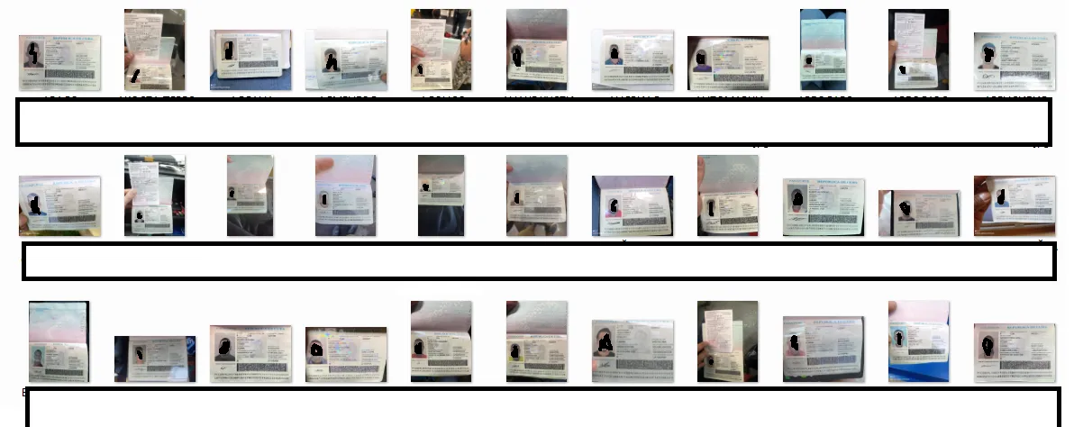 pasaportes mercenarios cubanos.png