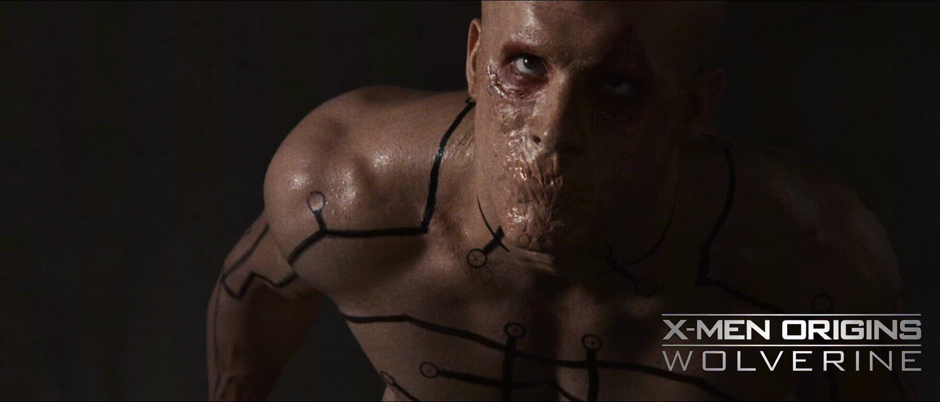 GIF4.gif