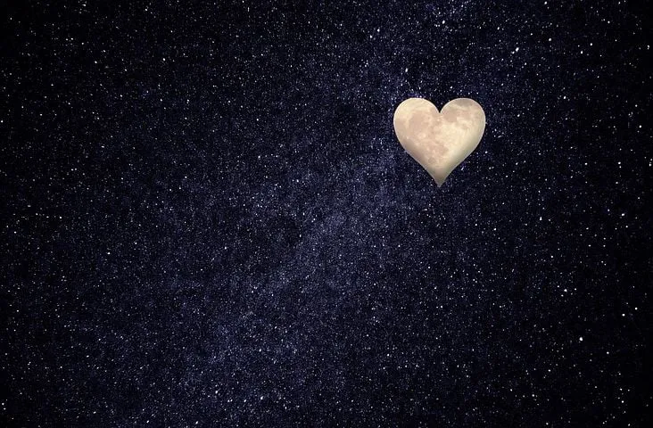 heart-1164739__480.jpg