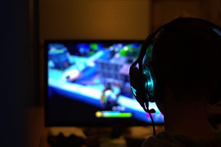 fortnite-4129124__480.jpg