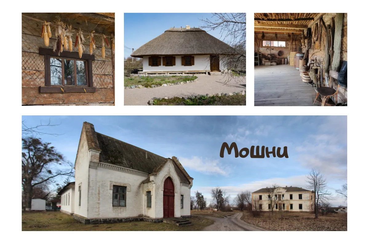 Мошни.png