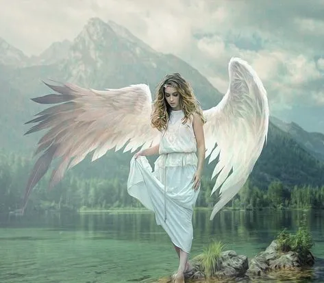 angel-4277425__480~2.jpg