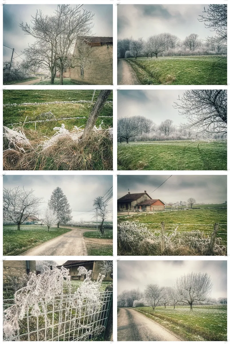collage_2_redimcollage_frosty_landscapes_2.jpg