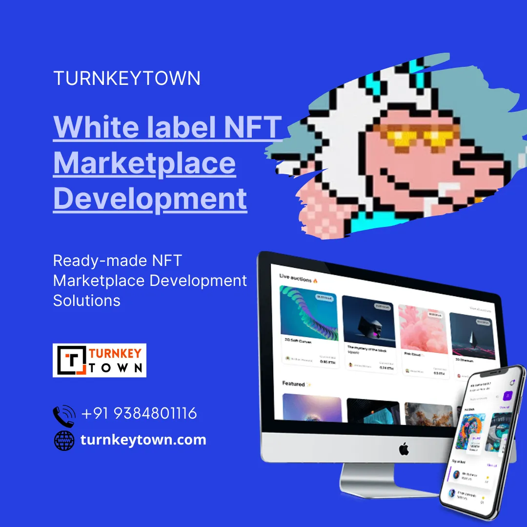 white_label_nft_marketplace_development_1_.png