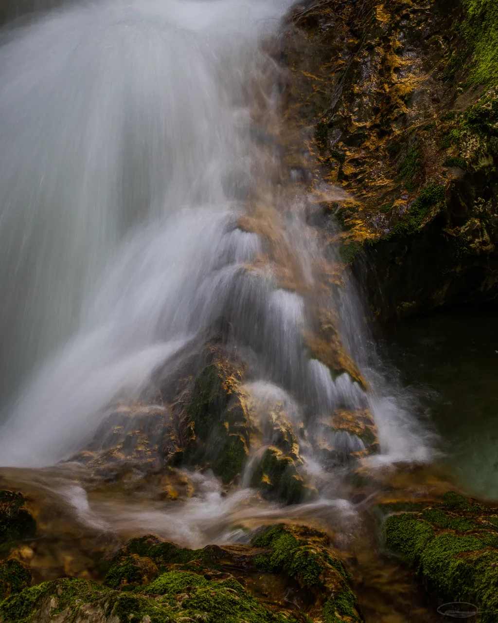 Intimate Landscape Photography - Sunikov Vodni Gaj - Sunik Water Grove, Slovenia