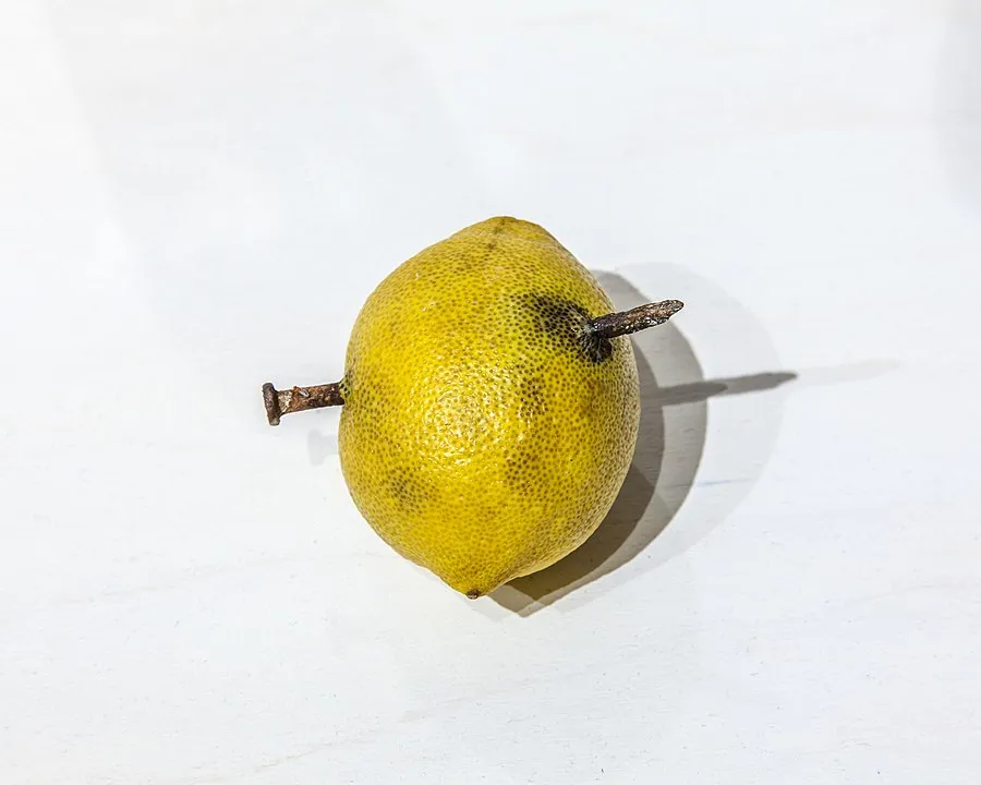 900px-Rusty_nail_through_lemon_superstition.jpg