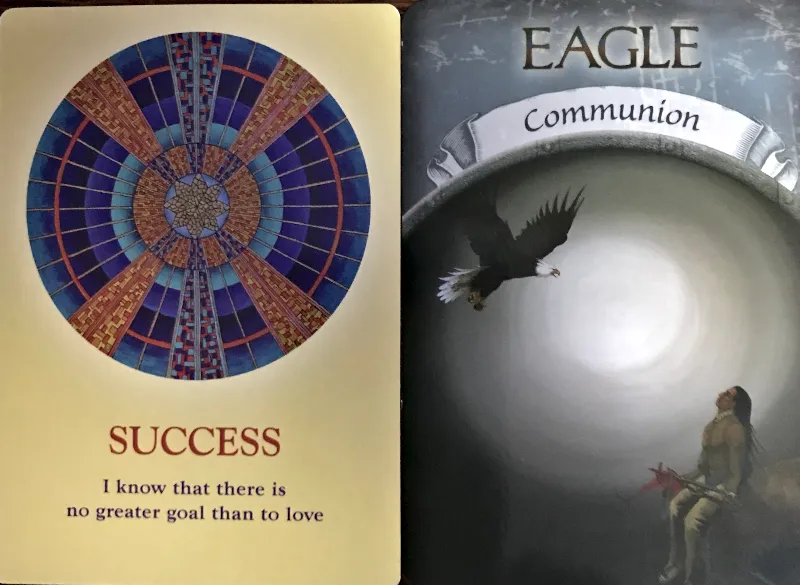tarot oracle tarottuesday suncape 4.jpg