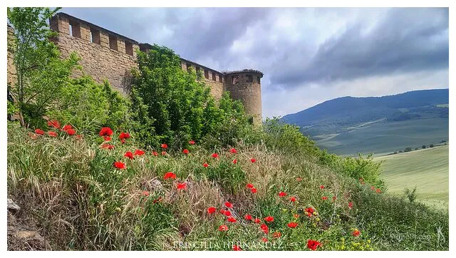 castle -640- by Priscilla Hernandez.jpg