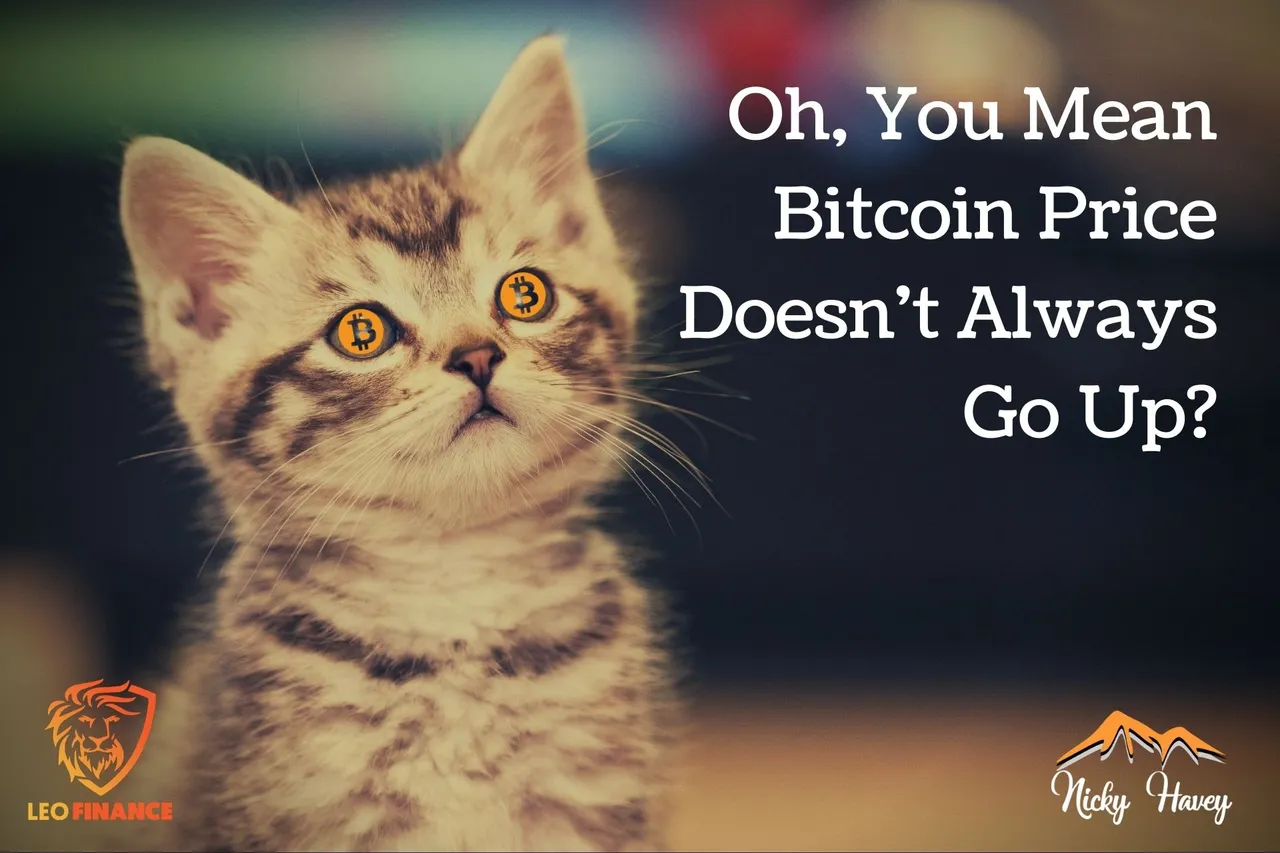 Bitcoin Price Doesnt Always Go Up.jpg