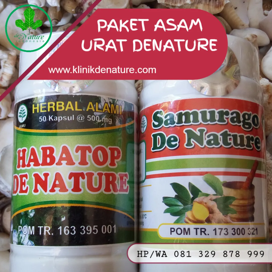 OBAT ASAM URAT HERBAL DI APOTIK.jpeg