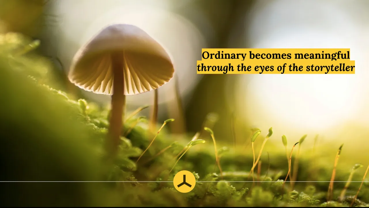 ROTYS - Ordinary becomes meaningful through the eyes of the storyteller