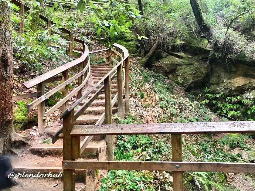 @splendorhub Stairway to waterfall.JPG