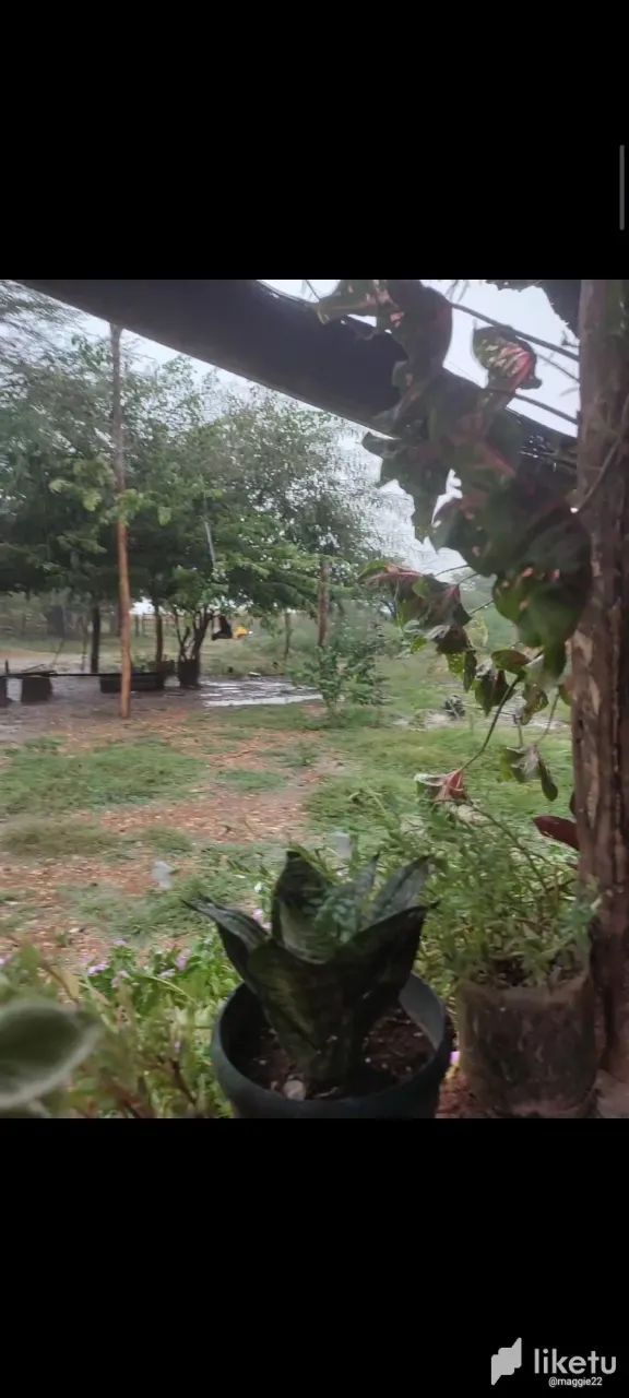 clmvcj7rg03ed9ysz2p5kh68q_Screenshot_2023-09-22-20-25-12-305_com.miui.videoplayer.webp
