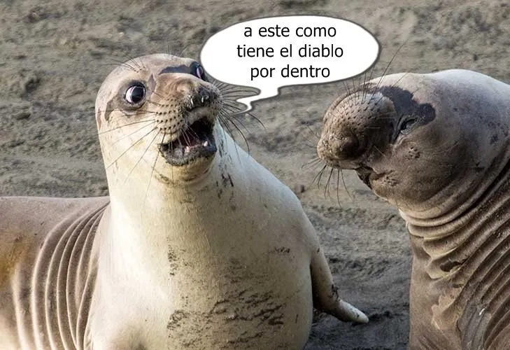 EEEoA8oLaAxsTkPYAARp78o5cJA1o6Chv9x98TzCFT6v5GhbN8xN4JhndtLucFPjtYWFGEvXxrWZDcWbwTVZxANqd1n91FWqR2XnSPrmvTbuhwTHh379PrQnf5GqdP6zks7dneH4tJRzahrpvn7CS.jpg