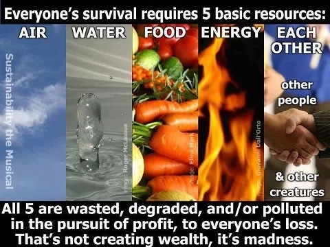 5 basic resources