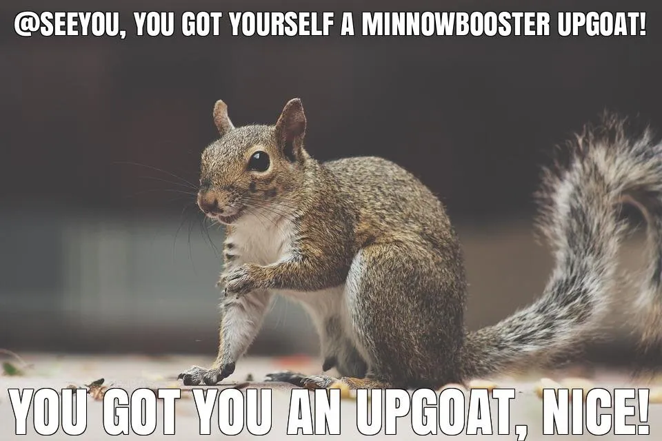 @seeyou got you a $7.34 @minnowbooster upgoat, nice!