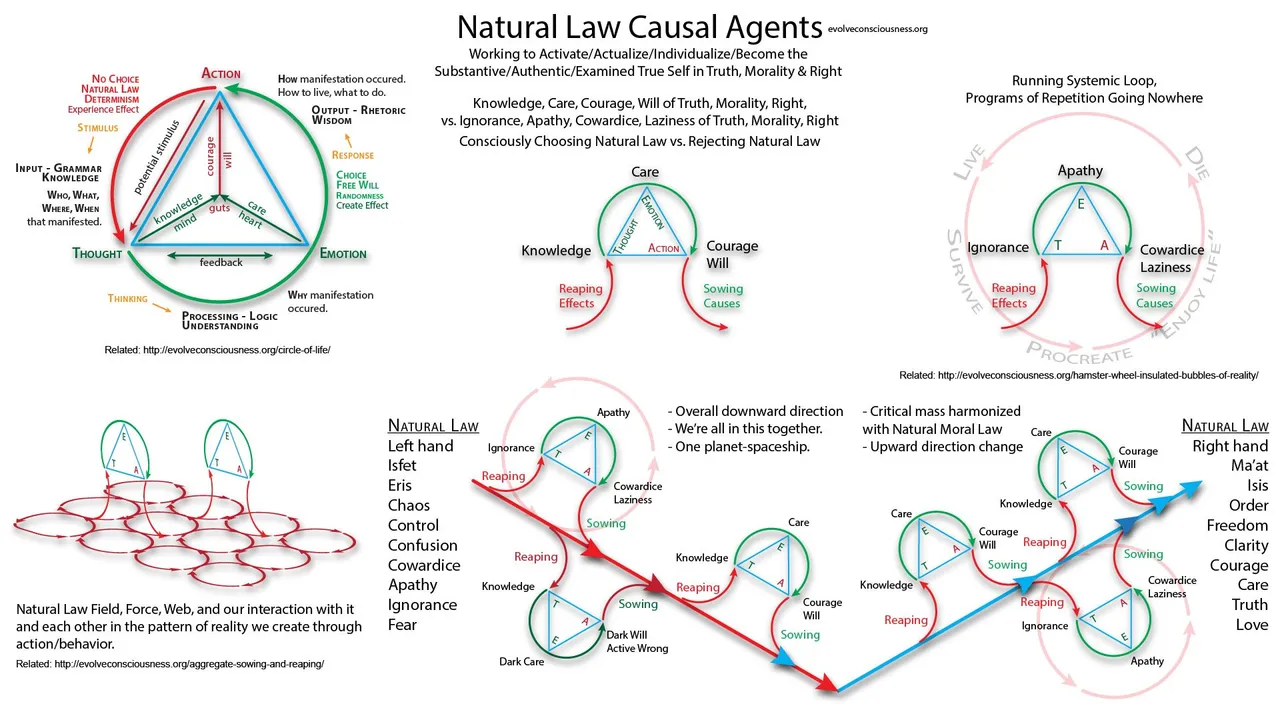 20-Natural-Law-Causal-Agentsb37bb.jpg