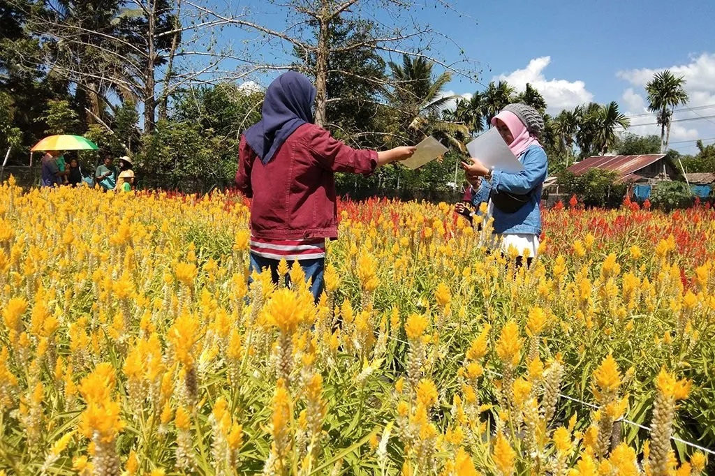 Akak-akak ini lagi ngapain ya di Celosia Garden? (Foto Breedie/U Rahma)