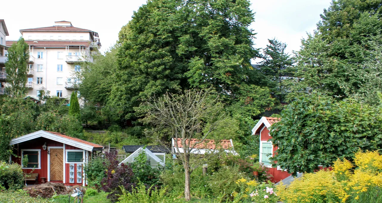 little house 1