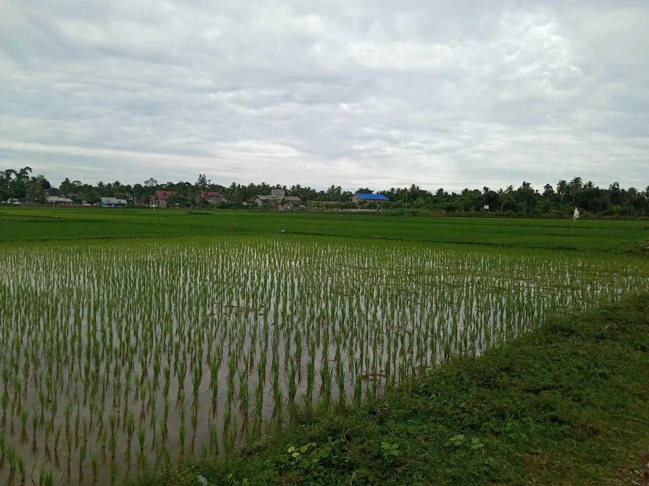 IMG20200619_012534.jpg
