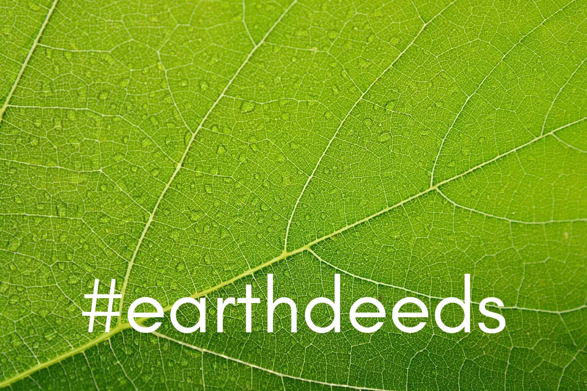 earthdeeds 1.png