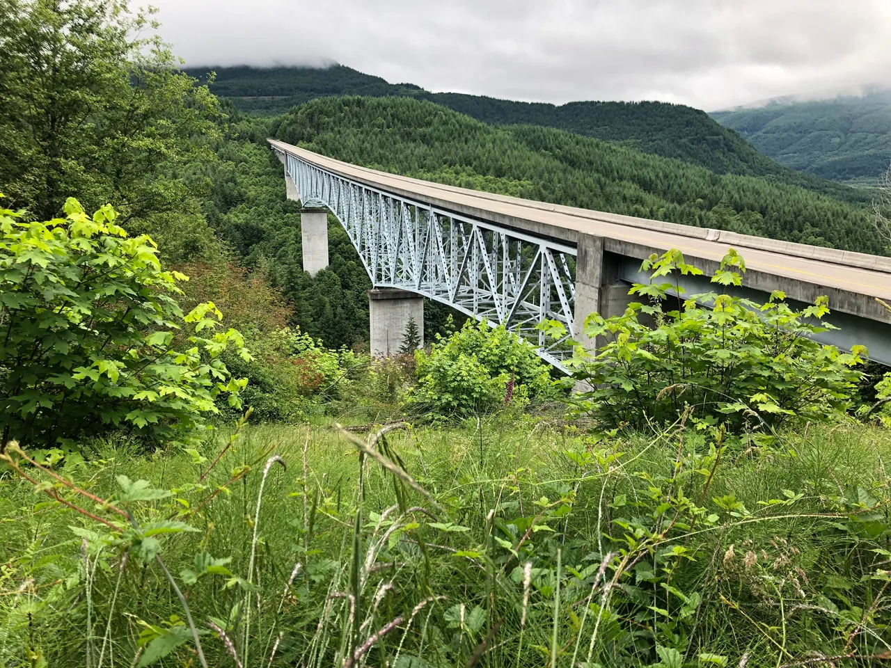Bridge_to_no_where.jpg