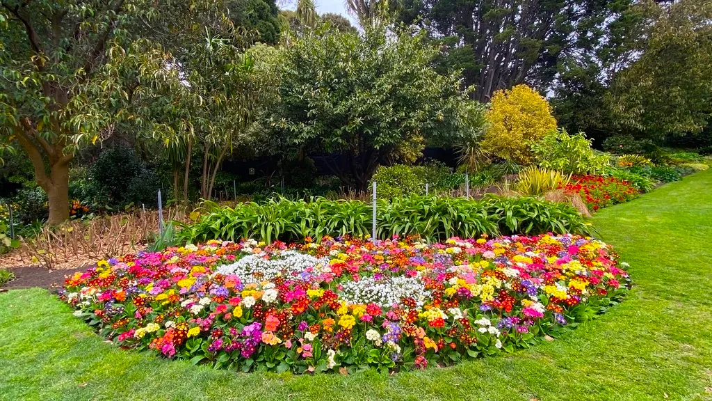 my garden.jpg