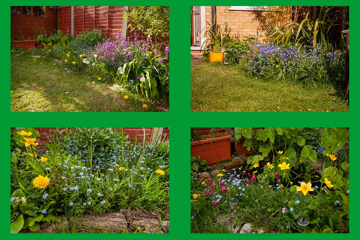 garden layoutPP.jpg