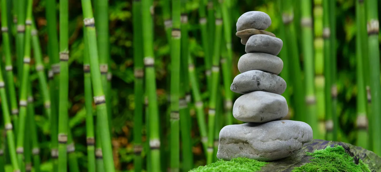 zen2040340.jpg