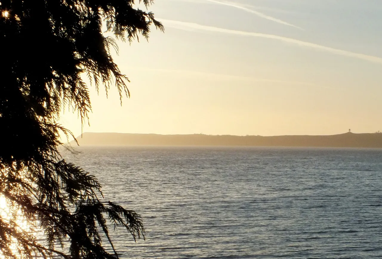 0804IslandView.jpg