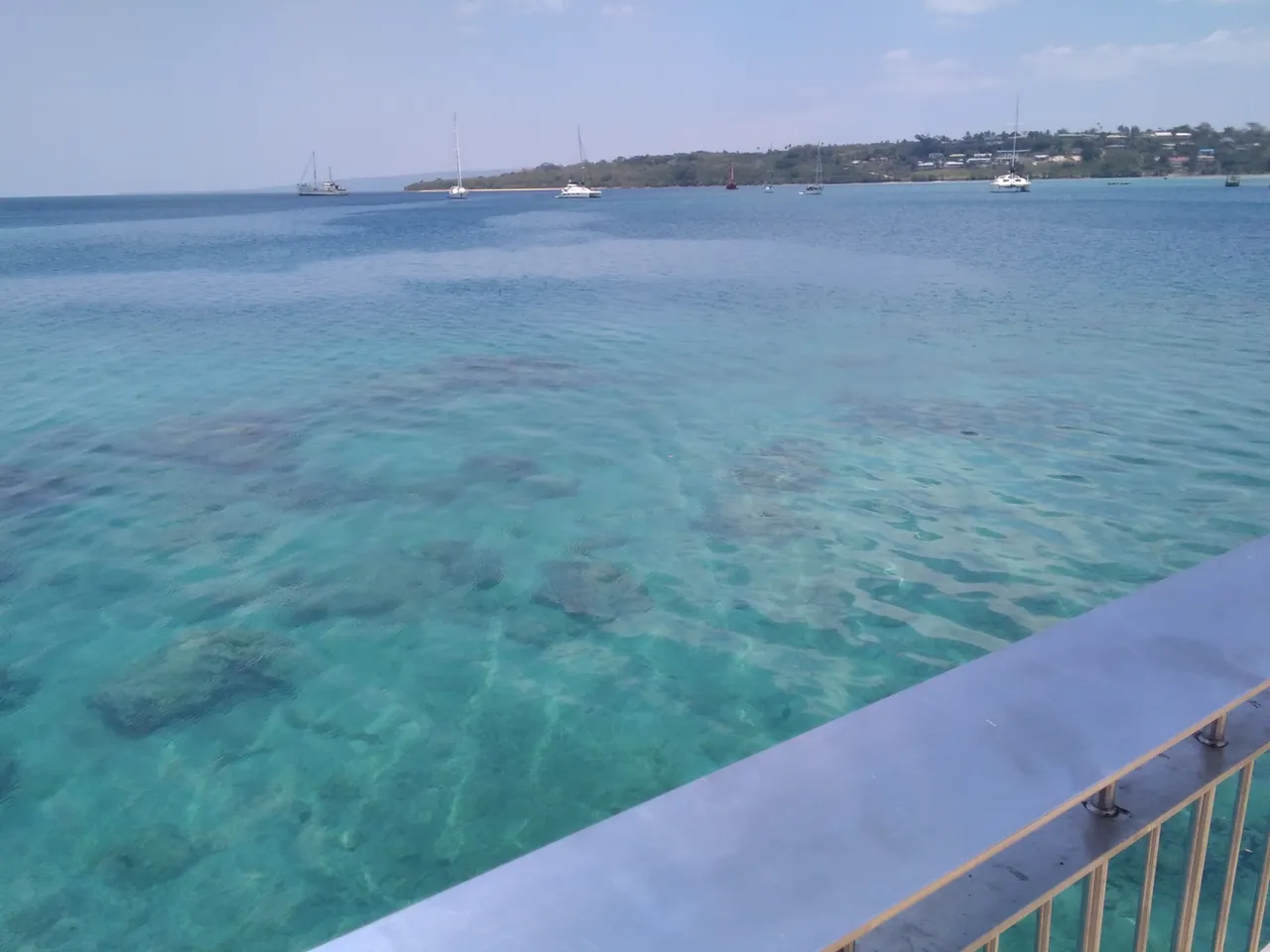 IMG_20191113_101848.jpg