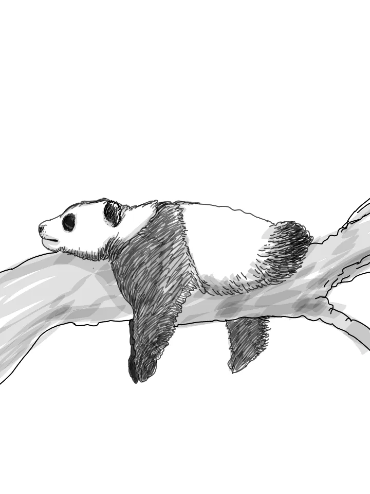 sketch1600177600146.png