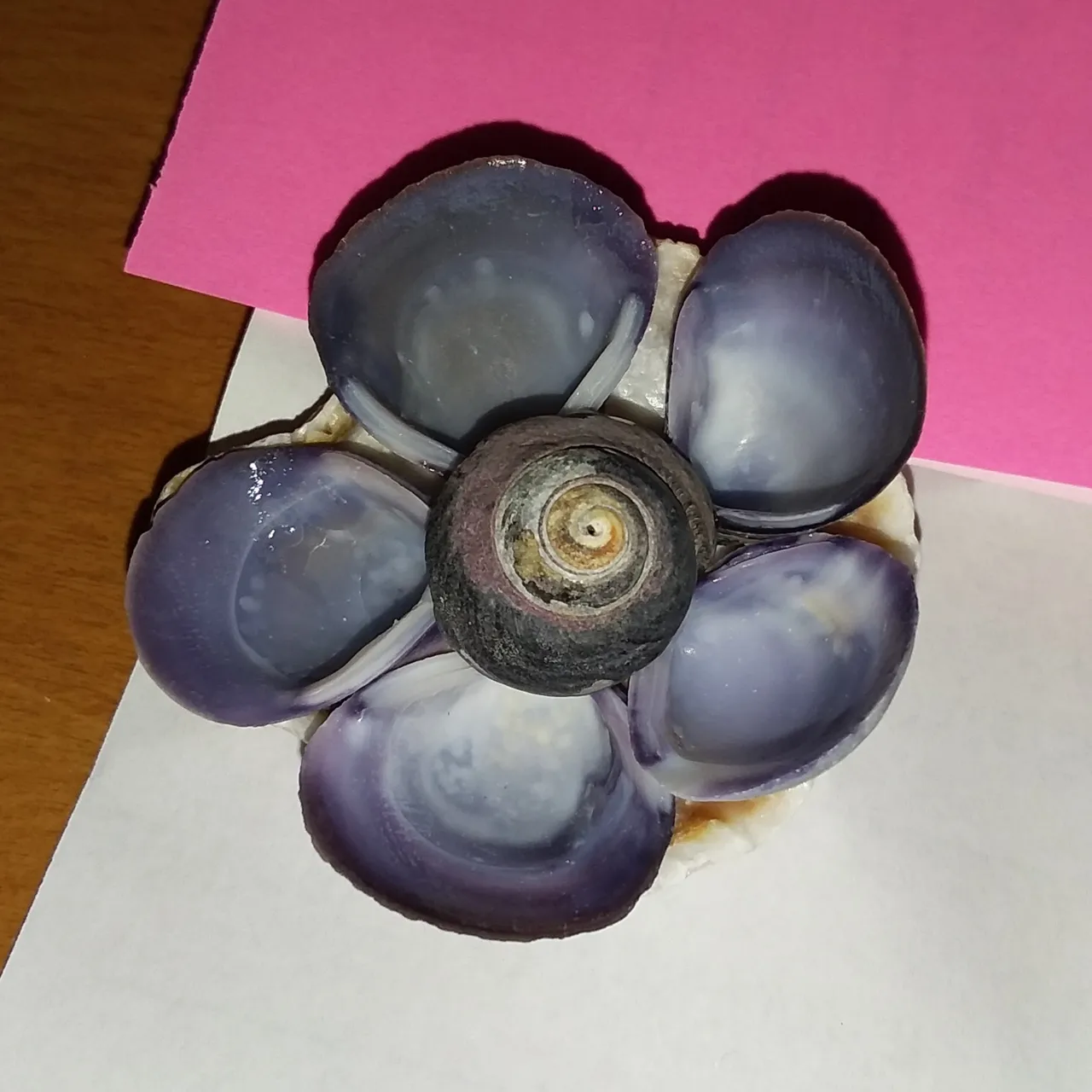20200901_172855.jpg
