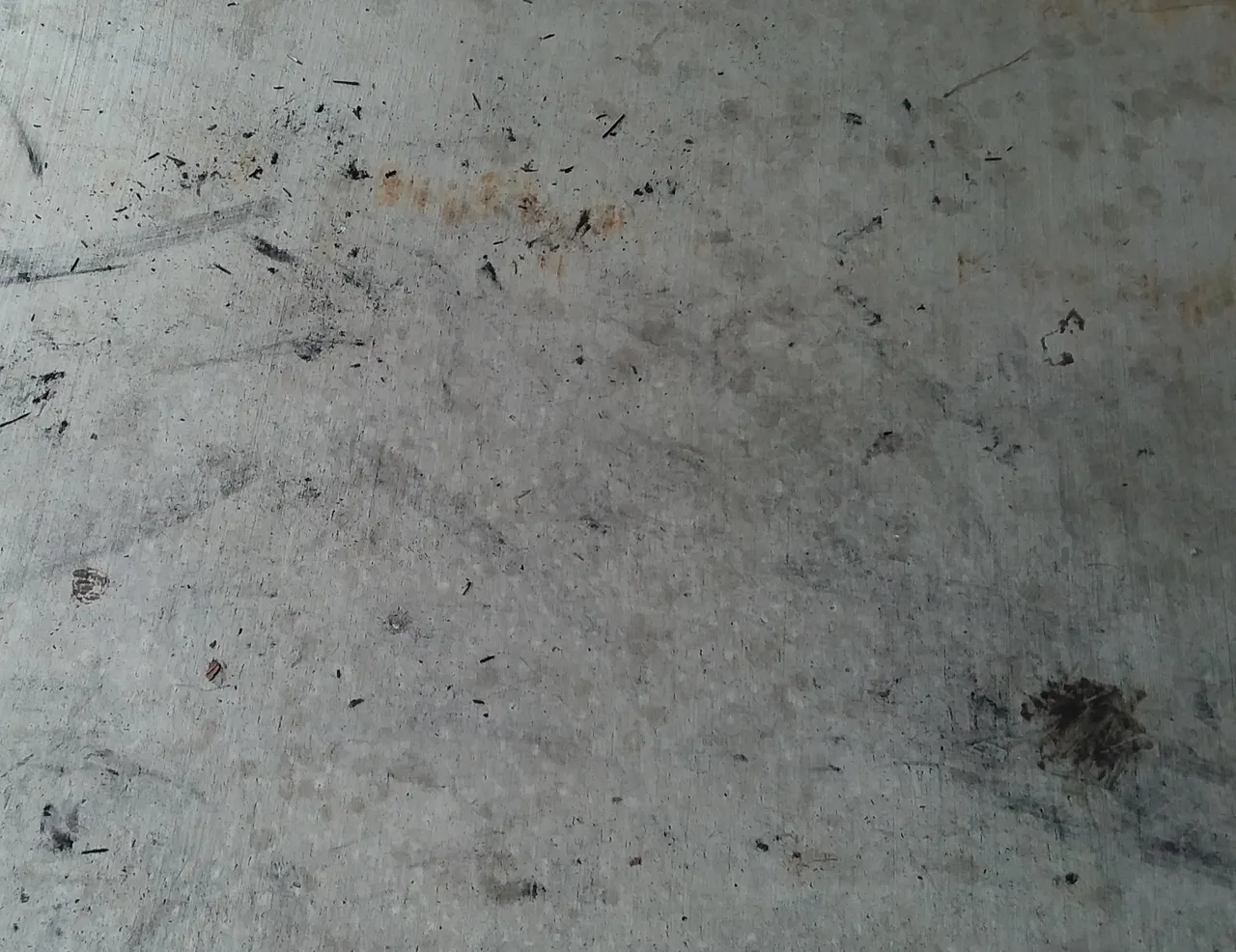 20200912_164246.jpg