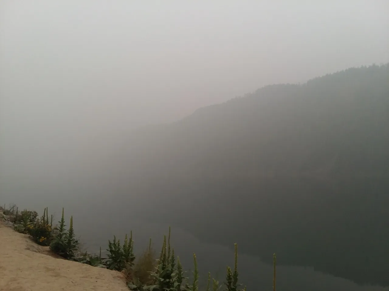 20200914_180149.jpg