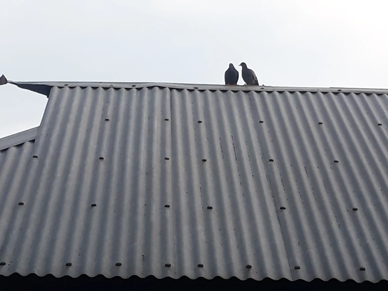 20200907_171811.jpg