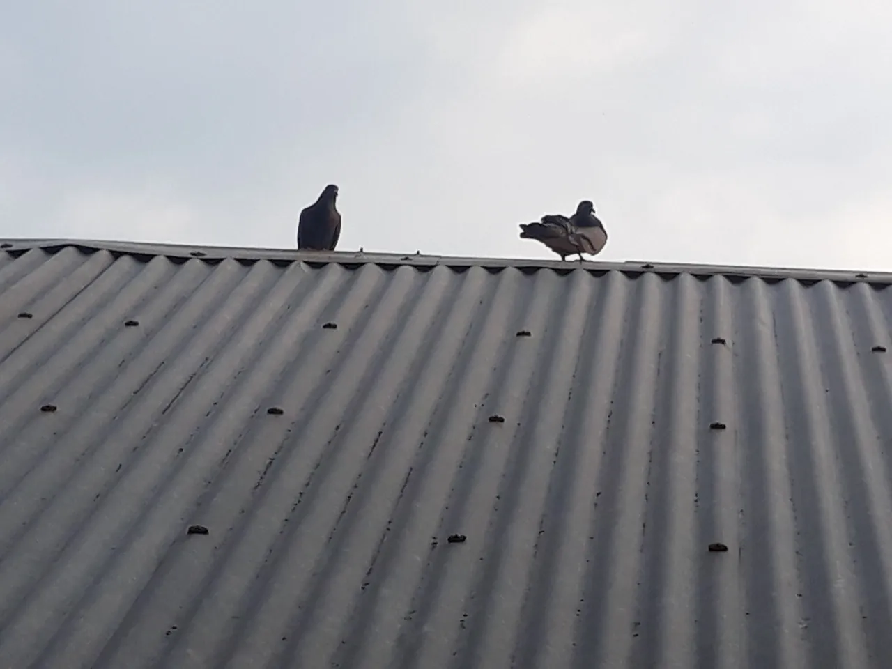 20200907_171919.jpg