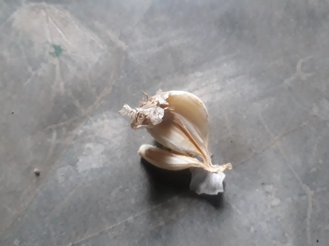 20200820_121504.jpg
