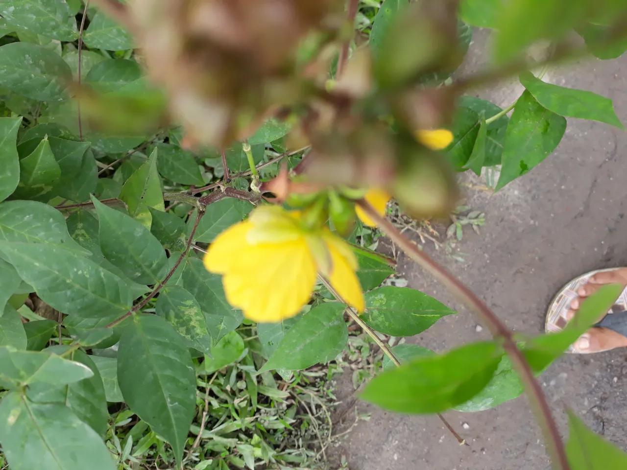 20200820_083735.jpg