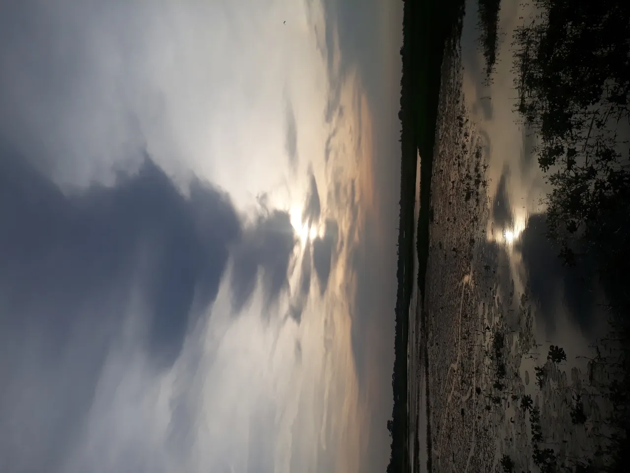 20200905_171802.jpg