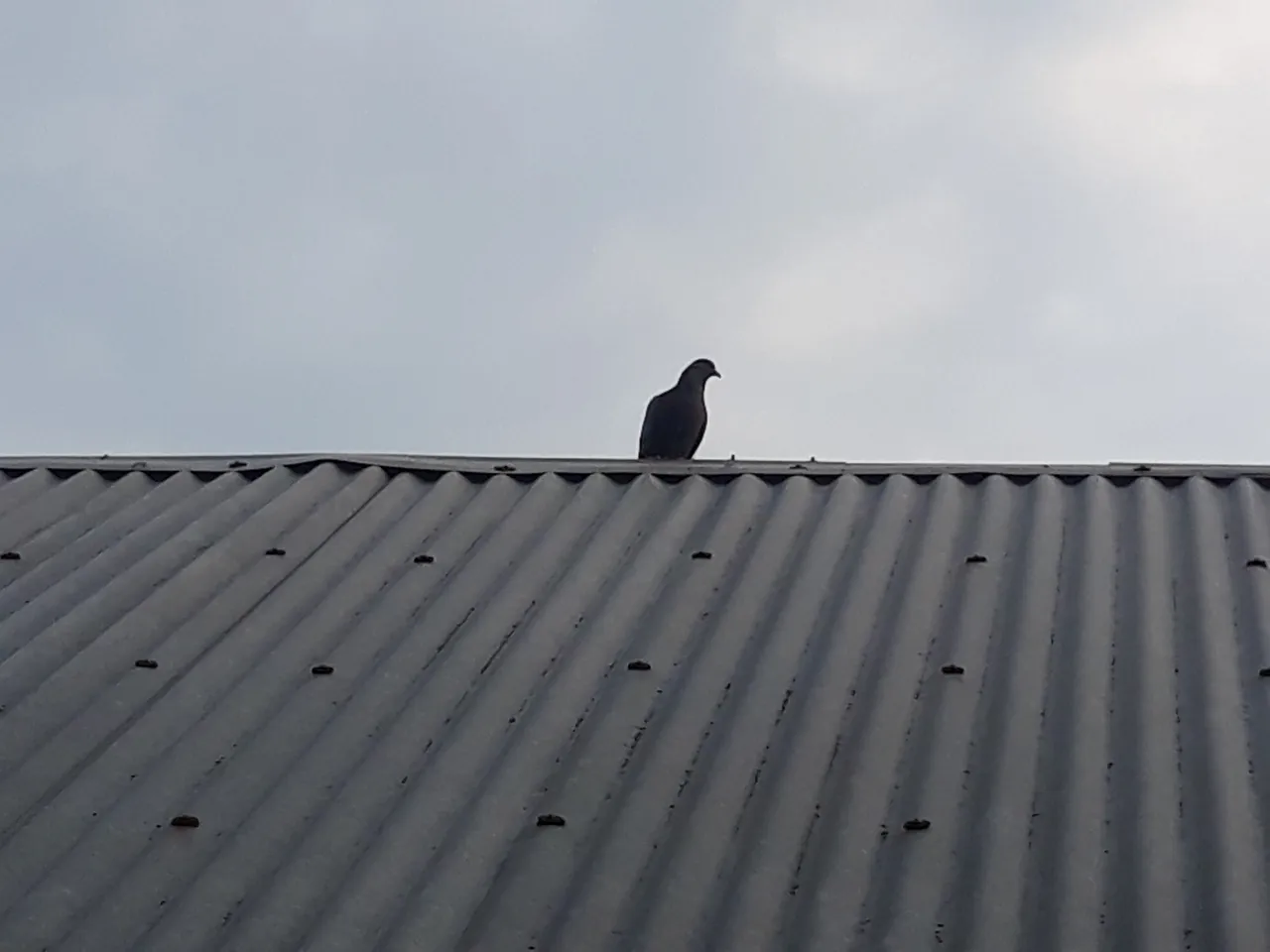 20200907_172028.jpg