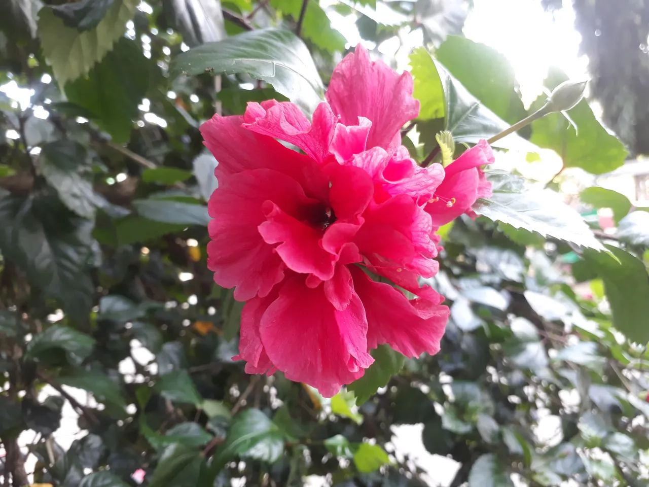20201102_123559.jpg