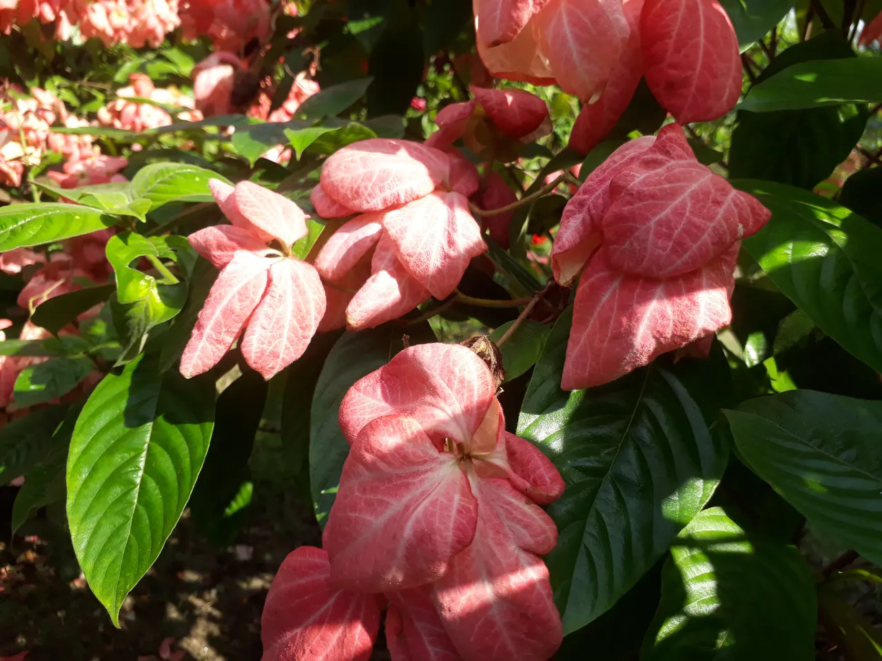 20201102_123401.jpg